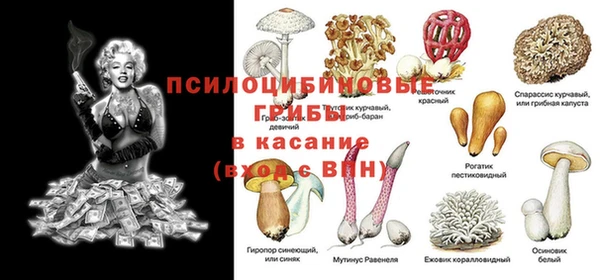 а пвп мука Белокуриха